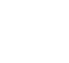 NHLPA Collection